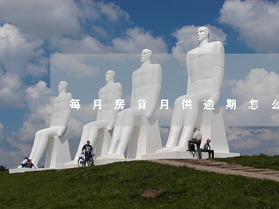 每月房貸月供逾期怎么辦(房貸逾期咋辦)