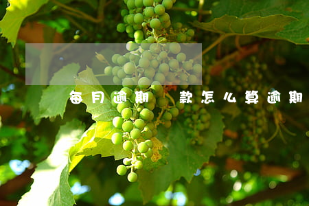 每月逾期還款怎么算(逾期賬款怎么計算)