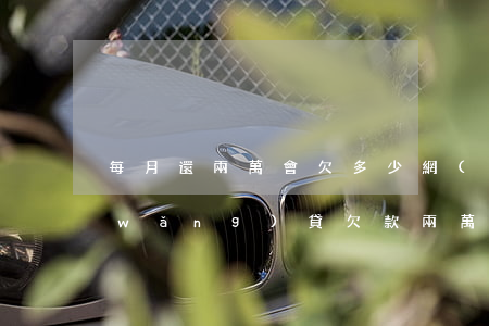 每月還兩萬會欠多少網(wǎng)貸(網(wǎng)貸欠款兩萬以上會怎么樣)