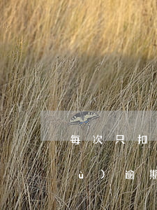 每次只扣部分金額導(dǎo)致連續(xù)逾期-一次扣款不成功影響信用