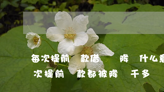 每次提前還款借唄還降額什么意思-借唄每次提前還款都被降兩千多