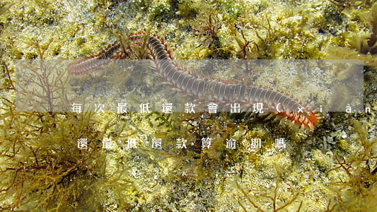 每次最低還款會出現(xiàn)逾期(每次還最低還款算逾期嗎)