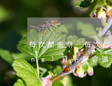每次都逾期-每次都逾期10多天網(wǎng)貸平臺會這么樣