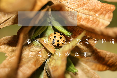 每次都逾期还款怎么样(请问贷款逾期还款会是怎么样的后果)