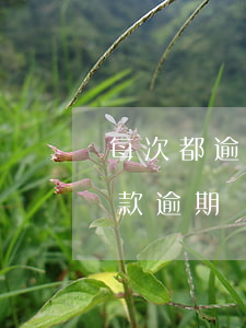 每次都逾期還款怎么樣(請(qǐng)問貸款逾期還款會(huì)是怎么樣的后果)