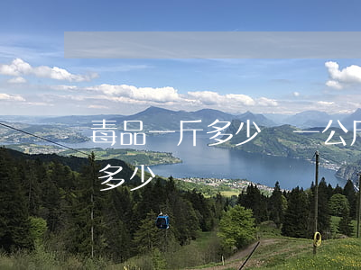 毒品一斤多少錢(一公斤毒品價(jià)值多少錢)