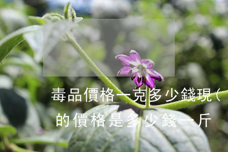 毒品價格一克多少錢(現(xiàn)在毒品的價格是多少錢一斤)