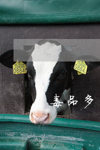 毒品多少钱1公斤(毒品多少钱1克)
