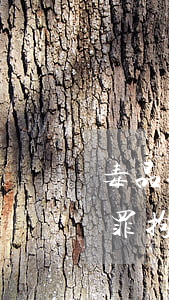 毒品拘留幾日以上(毒品不構(gòu)成犯罪拘留幾日以上)