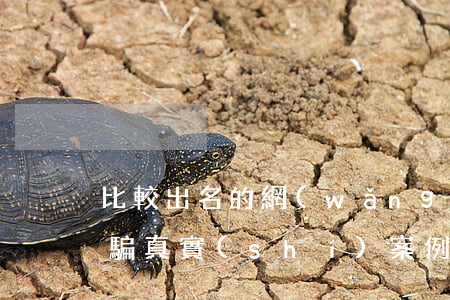 比較出名的網(wǎng)絡(luò)詐騙真實(shí)案例(比較出名的網(wǎng)絡(luò)詐騙真實(shí)案例)