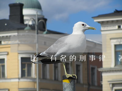 比較有名的刑事律師(著名的律師有哪些)