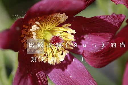 比較正規(guī)的借錢(怎么可以借錢正規(guī))