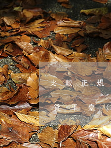 比較正規(guī)的小額網(wǎng)貸平臺(tái)(額度高的正規(guī)網(wǎng)貸平臺(tái))