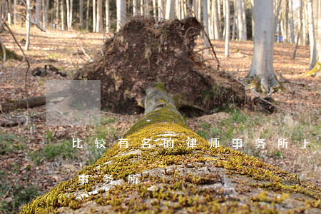 比较有名的律师事务所(上海比较有名的律师事务所)