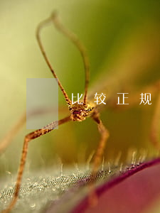 比较正规的信用贷款-正规的个人信用贷款