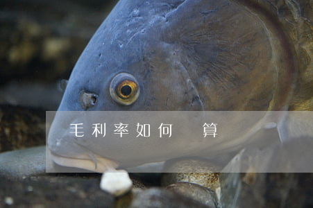 毛利率如何計算