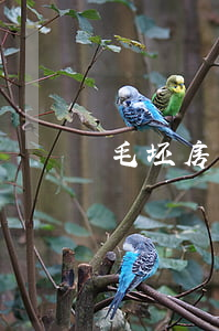 毛坯房的驗(yàn)收流程有哪些