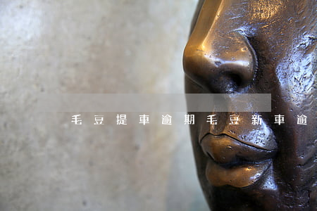 毛豆提車逾期(毛豆新車逾期多久被拖走)