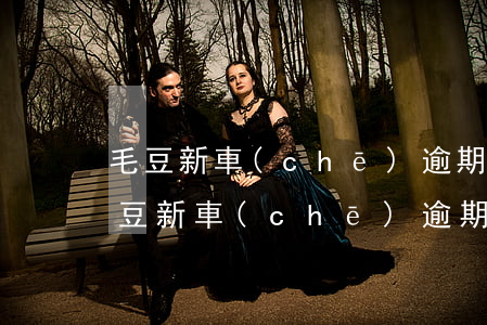 毛豆新車(chē)逾期被起訴怎么處理(毛豆新車(chē)逾期被起訴怎么處理)