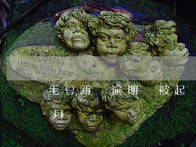 毛豆新車逾期會被起訴嗎(毛豆新車逾期1個月)