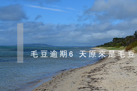 毛豆逾期6天(原來是毛豆過期)