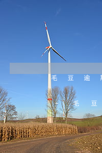 毛豆逾期多久會(huì)給家里人打電話-毛豆逾期一天上征信嗎