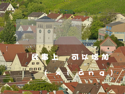 民事上訴可以增加訴訟請(qǐng)求事項(xiàng)嗎(上訴書(shū)可以增加上訴請(qǐng)求嗎)