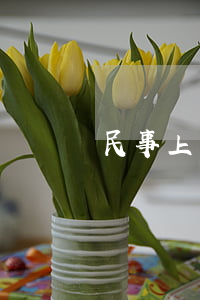 民事上訴狀怎么寫范文(民事上訴狀格式怎樣寫)