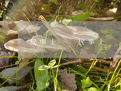 民事上訴狀(民事上訴狀精品范文)