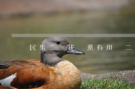 民事二審找關系有用嗎(二審需要找關系嗎)