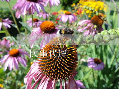 民事代理詞