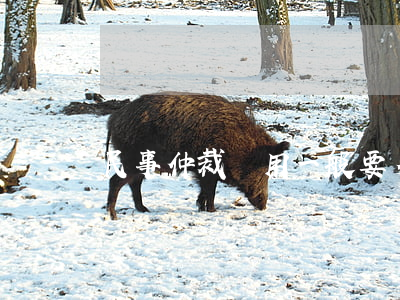 民事仲裁費用一般要多少錢(仲裁費收費標準)