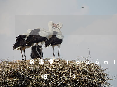 民事侵權(quán)和工傷認定如何獲得雙倍賠償？