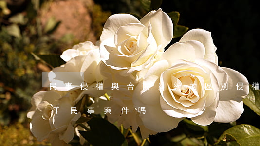 民事侵權與合同糾紛的區別(侵權責任糾紛屬于民事案件嗎)