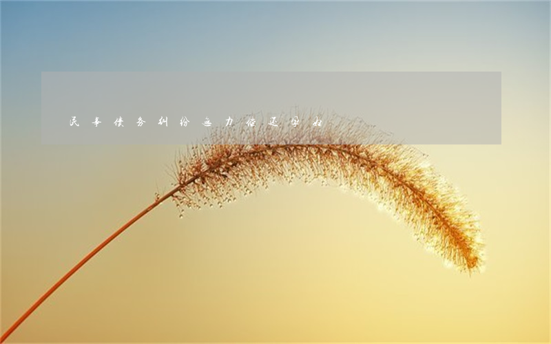 民事债务纠纷无力偿还孕妇