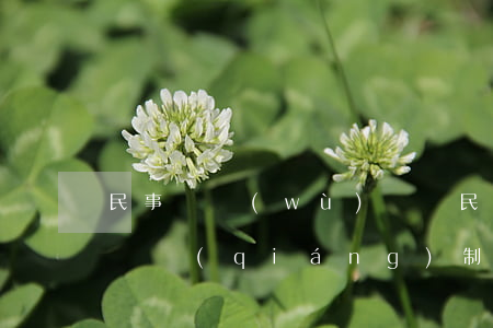 民事債務(wù)糾紛(民事債務(wù)糾紛強(qiáng)制執(zhí)行可以凍結(jié)銀行卡么)