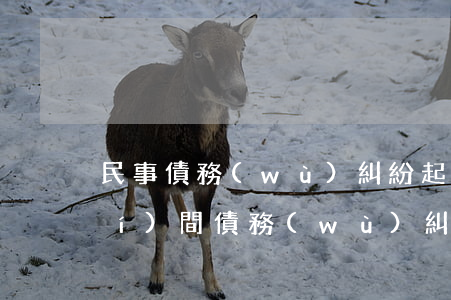 民事債務(wù)糾紛起訴要多久時(shí)間(債務(wù)糾紛起訴法院多久受理)