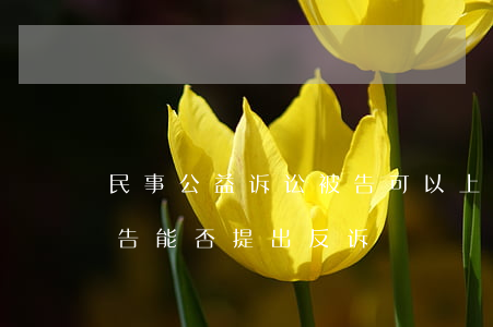 民事公益诉讼被告可以上诉吗(公益诉讼中被告能否提出反诉)