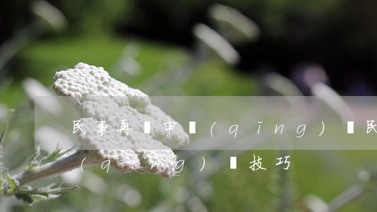民事再審申請(qǐng)書(民事再審申請(qǐng)書技巧)