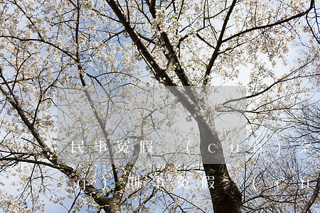 民事冤假錯(cuò)案如何信訪(fǎng)(刑事冤假錯(cuò)案信訪(fǎng)局申訴書(shū))