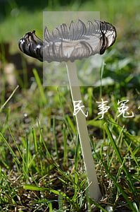 民事冤假錯案怎么辦