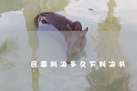 民事判决多久下判决书