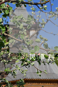 民事判決書案例(民事判決書案例分析)