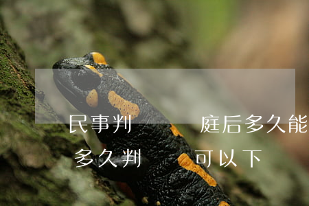 民事判決書開庭后多久能下來(開庭之后一般多久判決書可以下來)