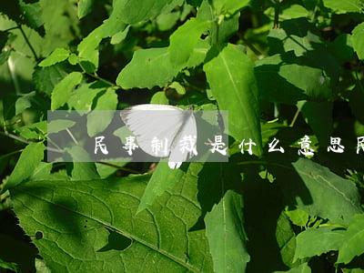 民事制裁是什么意思（民事制裁的情形有哪些）