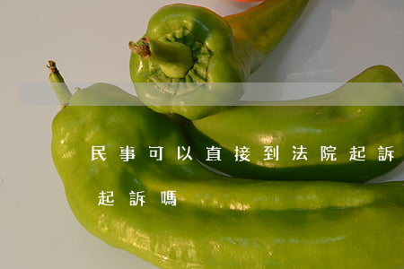 民事可以直接到法院起訴嗎(去法院可以直接起訴嗎)