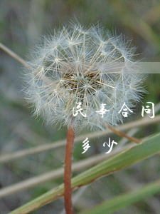 民事合同糾紛在深圳請(qǐng)律師要多少錢