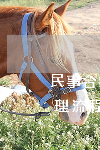 民事合同糾紛案件開庭流程(合同糾紛開庭審理流程)