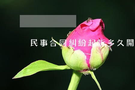 民事合同糾紛起訴多久開庭