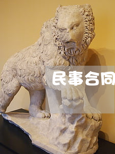 民事合同糾紛起訴書(民事訴訟合同糾紛)